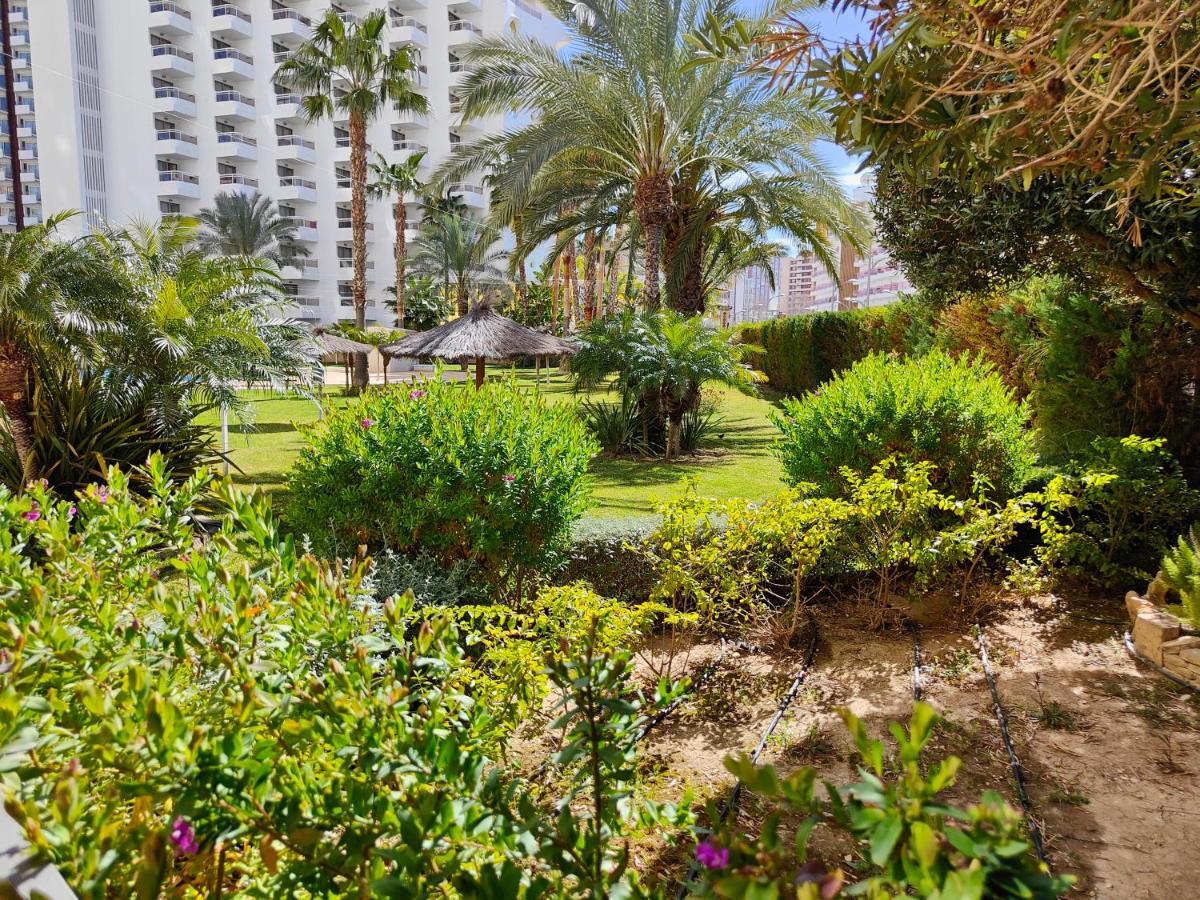 Solo Familias Gemelos 26 Apartment Benidorm Exterior photo